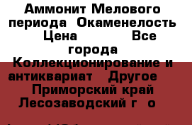 Аммонит Мелового периода. Окаменелость. › Цена ­ 2 800 - Все города Коллекционирование и антиквариат » Другое   . Приморский край,Лесозаводский г. о. 